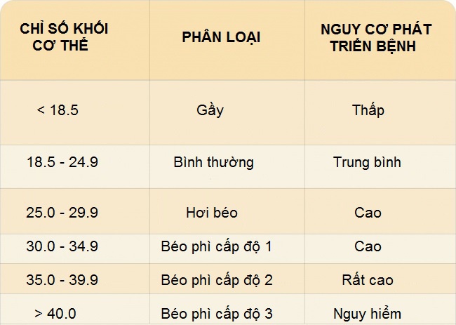 Thừa cân sẽ khiến các khớp (như khớp đầu gối, cột sống, hông, mắt cá chân, bàn chân) phải chịu nhiều áp lực