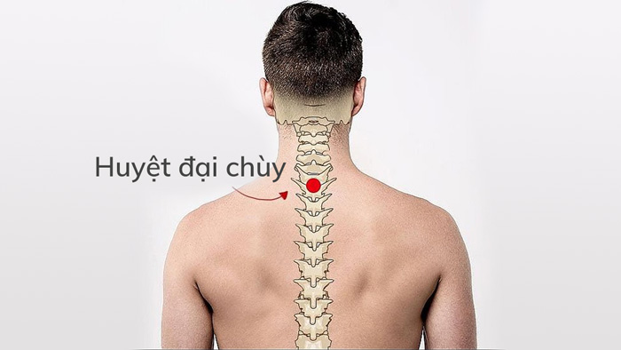 Vị trí huyệt đại chùy