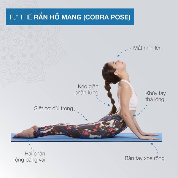 Tư thế rắn hổ mang