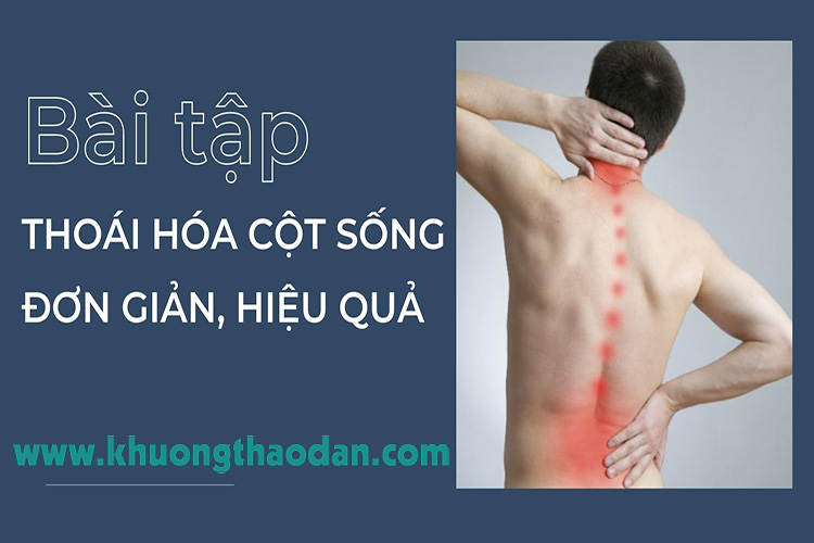 [TỔNG HỢP] Bài tập thoái hóa cột sống đơn giản, hiệu quả