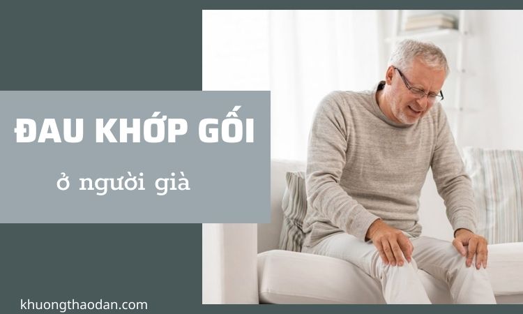 Đau khớp gối ở người già: Nguyên nhân, triệu chứng và cách điều trị