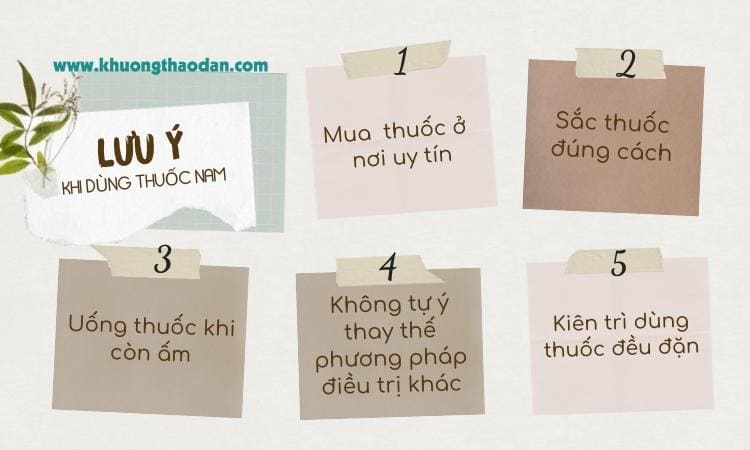 luu-y-khi-dung-thuoc-nam-chua-viem-khop