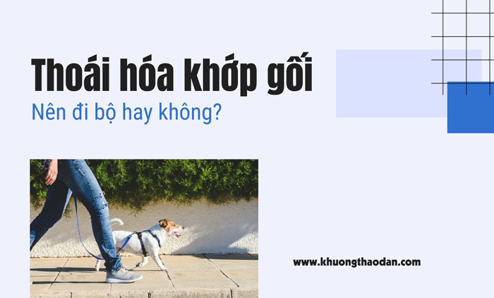 Thoái hóa khớp gối có nên đi bộ không?