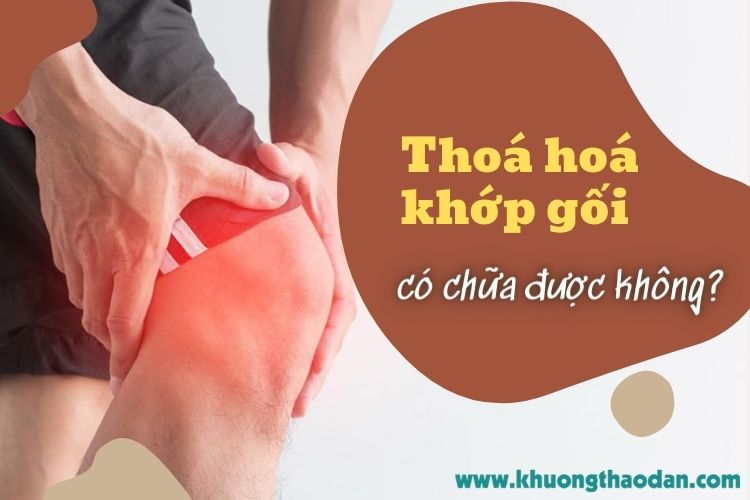 Bệnh thoái hóa khớp gối có chữa khỏi hoàn toàn được không?