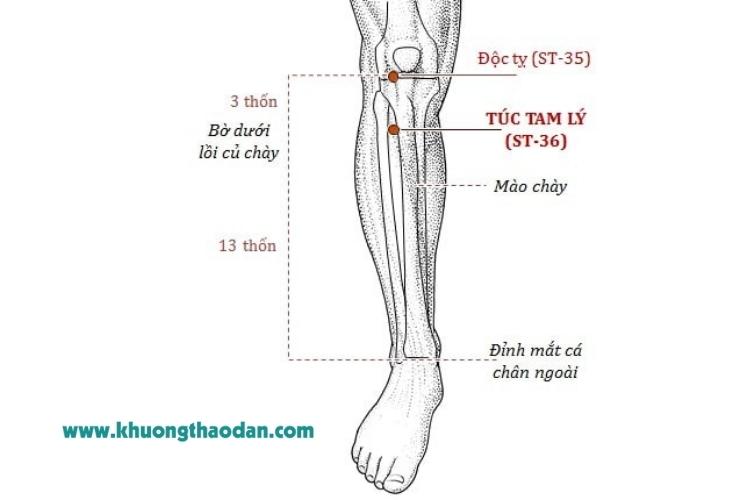  huyet-doc-ty